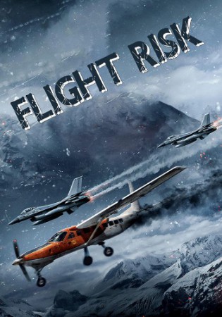 poster Flight Risk  (2025)